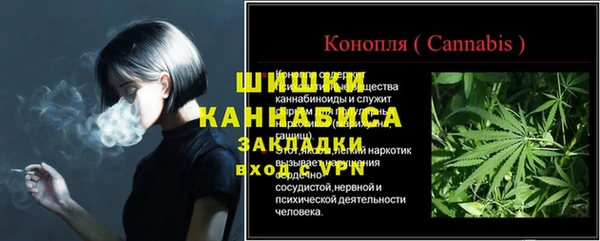 шишки Алзамай