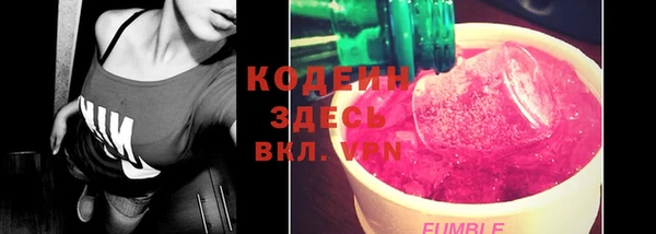 шишки Алзамай